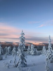Swedish winter skiing
