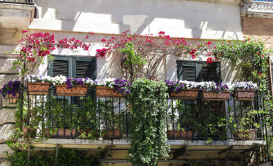 Beautiful European Garden Floral Balcony