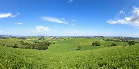Fototapeta premium A breathtaking panoramic view of a lush green valley with rolling hills and a clear blue sky, natural, terrain