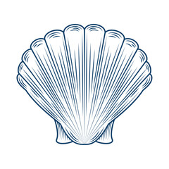 pearl shell sketch style