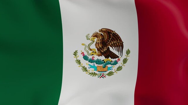 flag waving