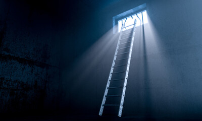 Ladder leading to freedom through barred window opening