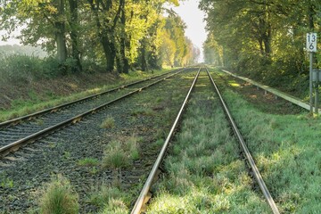 Railway tracks disappearing into the distance on sunny autumn day