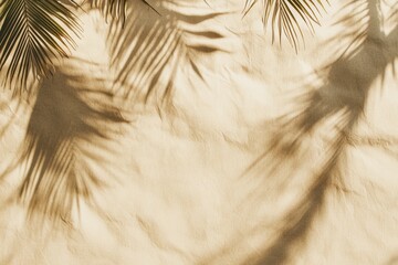 Fototapeta premium 植物の影が映る温かい壁の背景で、日差しを感じるリラックスした瞬間