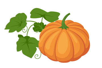 Isometric Orange Pumpkin. Pumpkin, a vibrant orange food, is rich in vitamins and fiber. Commonly used in cooking, it lends its sweet flavor and creamy texture to soups, pies, and baked goods