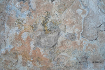 Charming Ivory Marble / French Stone /  Limestone with Pink, Grey, Green, and Yellow Highlights
