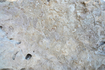 Beautiful intricate Patterns in Ivory Limestone with Pink, Grey, Green, and Yellow
