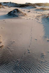 Animal tracks in Florida  dunes in Topsail Hill Preserve, Santa Rosa Beach, Florida