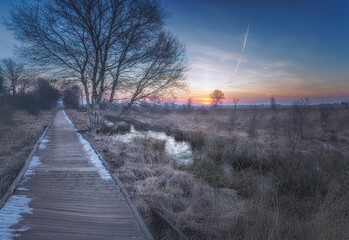 winterliche Moorlandschaft