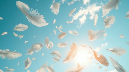 Soft feathers float lazily through a clear sky, illuminated by warm sunlight