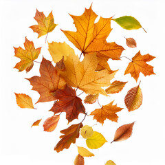 Autumn leaves isolated on a white background AI Image