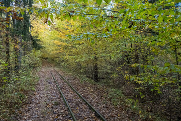 A narrow-gauge railway in the Białowieza Forest, with an autumn atmosphere