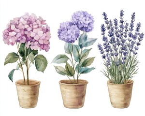 Romantic Watercolor Floral Bouquet and Lantern. Vintage Rustic Hydrangea and Lavender. Perfect for Wedding, Textile and Scrapbooking