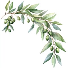 Watercolor Botanical Bouquet with Olive Branches and Lemon Tree. Rustic Floral Illustration on White Background