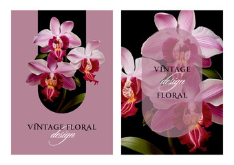 Vintage vector illustration with orchid flowers on a changeable background. Floral design template for wedding invitation, greeting card, notebook cover, flyer or certificate.   © Anna