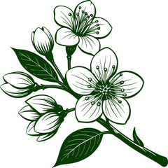 bouquet of flowers a striking cherry blossom branch with sharp petals Vector Design and illustration