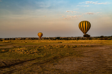 Obraz premium Ballonsafari