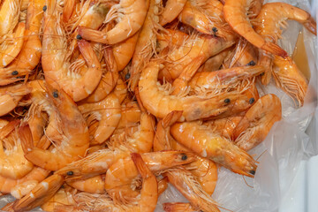 fresh shrimp and fish for sale