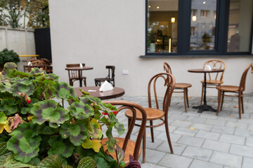 a cozy courtyard with cafe tables