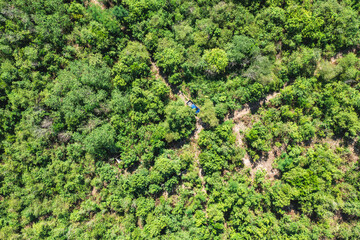 Aerial view captures a lush, green forest with a dense canopy of trees stretching across the landscape.