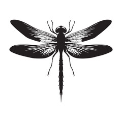  Dragonfly hovering silhouette vector black color and solid white background 