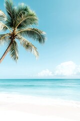 Fototapeta premium Palm tree on a serene beach with turquoise water and blue sky.