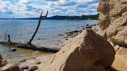 Skały i konar drzewa na plaży w Gdyni w Polsce.