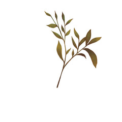 Illustrations of autumn mushrooms and leaves. Patterns and compositions