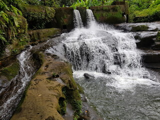La magia del trópico: selva, río, flores, puente, agua, mar, montaña, árboles, lagos, cielo, humedales, nubes, charcas                         © LuisGonzaga