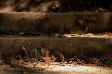 A detailed close up view of a set of stairs covered with leaves on the ground