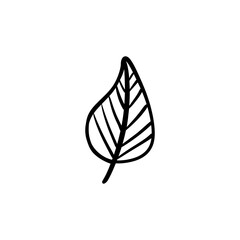 Doodle leaf single line art drawing. Vector illustration isolated. Minimalist design handdrawn.