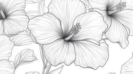A delicate white hibiscus flower illustration showcasing intricate line details and elegant petals.