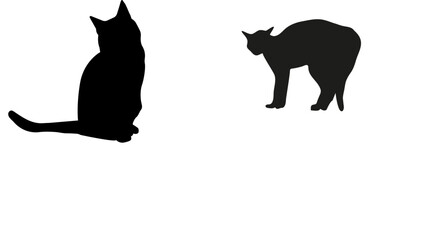 silhouette of a cat