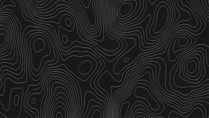 Topographic map. Abstract lines background, Topographic contour lines seamless pattern.