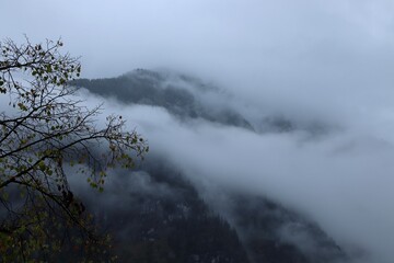 Serene Morning View of Misty Hallstatt Forested Hillside, Capturing the Tranquility and Atmospheric Beauty of Austria’s Iconic Alpine Landscape