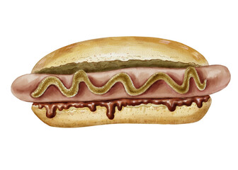 Hot dog with mustard and ketchup. Fast food color illustration. Realistic image for menu design, poster, brochure, website. Classic hand drawn hot dog. For restaurant, snack bar, pizzeria, street food