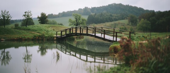 Fototapeta premium A serene wooden bridge spans a tranquil pond amidst lush greenery and gentle hills, reflecting a picturesque rural landscape and peaceful ambiance.