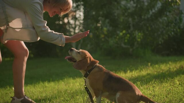 Woman dancing joyfully in front of her dog while dog watches in surprise, as she reaches out for dog's paw and lifts it, background features lush greenery, a building, and phone in her back pocket