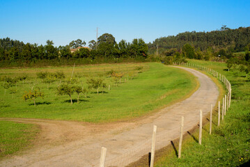 Curva en camino rural