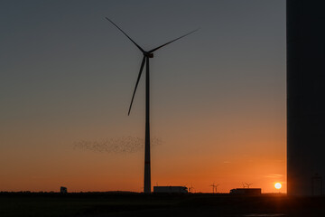 Obraz premium Wind farm on the highway - power supply