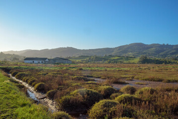 Naklejka premium Paisaje de humedal en ría de Villaviciosa, Asturias