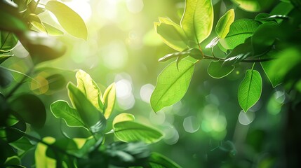 Fresh morning message decorated with vivid green leaves, exuding positivity and a vibrant start to the day, nature-infused atmosphere.