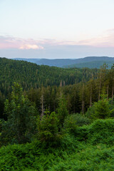 Schwarzwald bei schönem Wetter