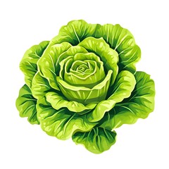 Obraz premium Flower concept design idea isolated on a white background
