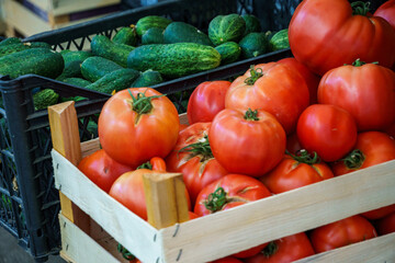 Tomaten und Gurken an einem Stand
