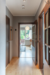 Home Corridor, Entrance Hall. Hallway. Walls, Hardwood Floor. LED Light on the Ceiling. Old Retro Doors