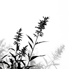 Flower concept design idea isolated on a white background