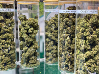 Jars of Indica and Sativa buds