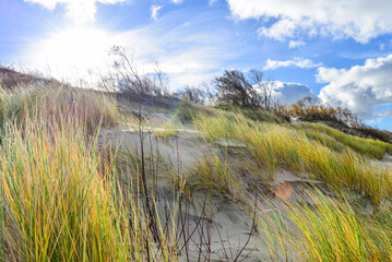 a sand dune with a beach in the background and a blue cloudy sky 