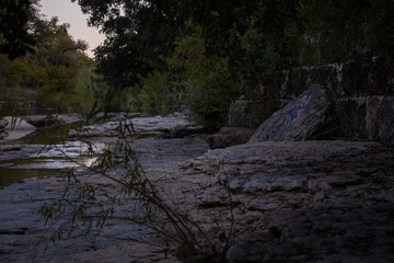 Obraz premium Trees along creek bed